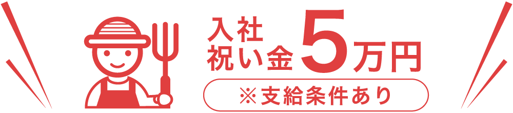 入社祝い金5万円（※支給条件あり）